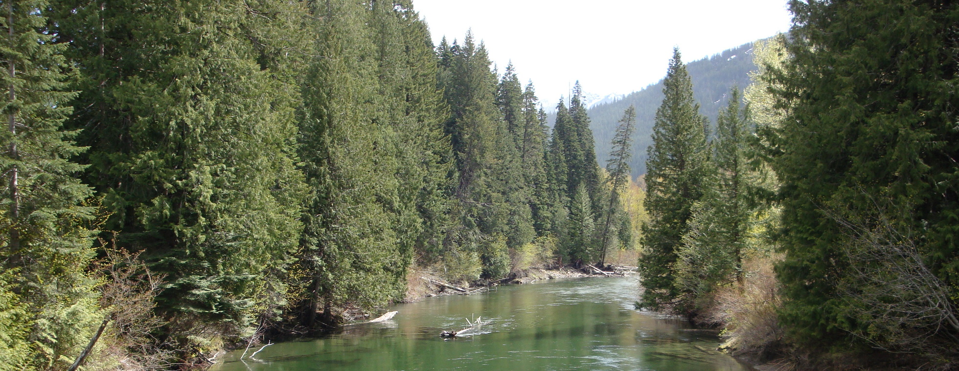 Member Event: Birding at the White River